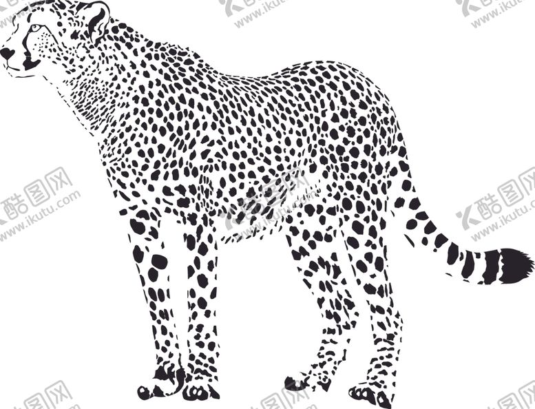 编号：54639009270111278239【酷图网】源文件下载-黑白帅气豹子