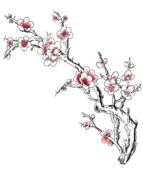 茶道梅花图片