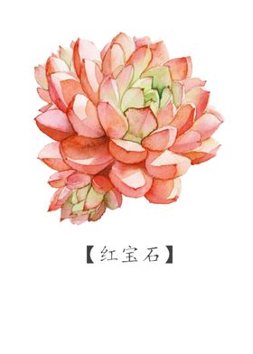 png格式植物花卉手绘素材朵型插画