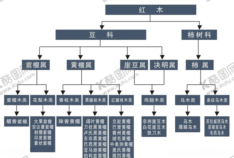 编号：19171910180918467907【酷图网】源文件下载-红木新国标五属八类树状图
