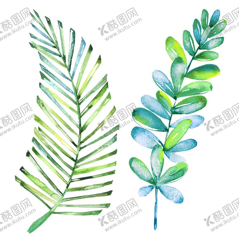 编号：72773109260459393988【酷图网】源文件下载-绿色植物