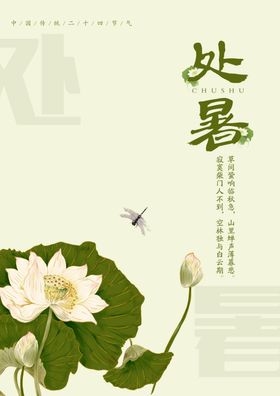 节气海报