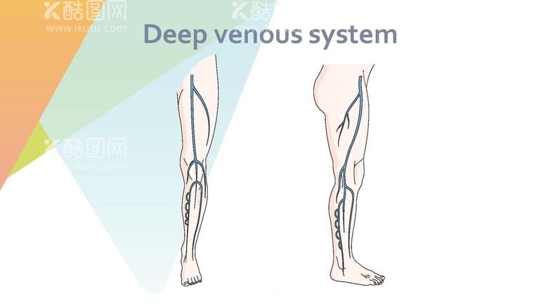 编号：26988311281320576430【酷图网】源文件下载- 静脉