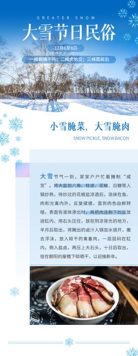 中国二十四节气大雪节日民俗H5