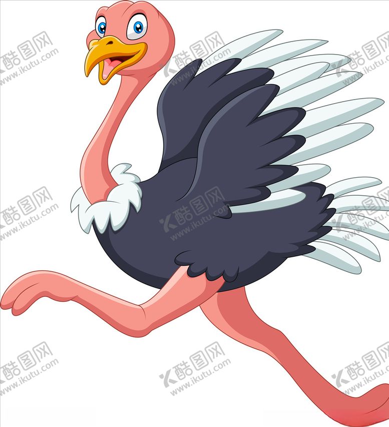 编号：52339806231528572973【酷图网】源文件下载-鸵鸟