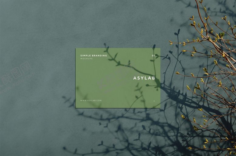 编号：70656509280753195940【酷图网】源文件下载-卡片贴图