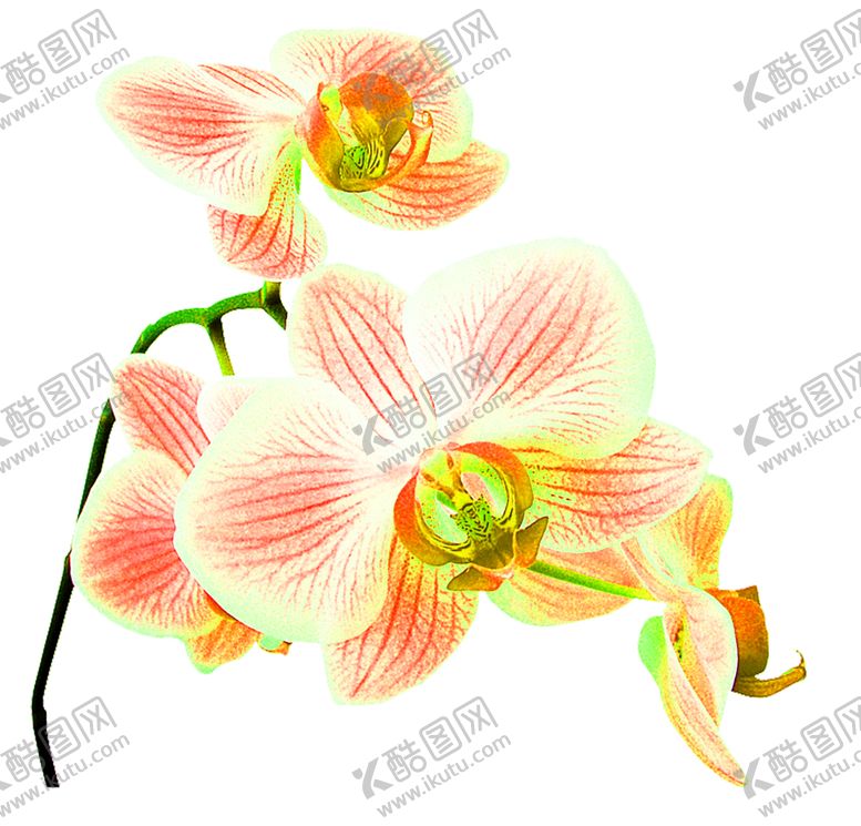 编号：13538310090044461831【酷图网】源文件下载-浪漫素材