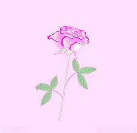 植物花儿