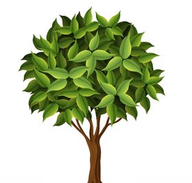 手绘树