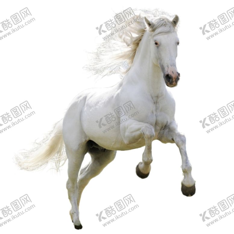 编号：97148709221239322813【酷图网】源文件下载-白马