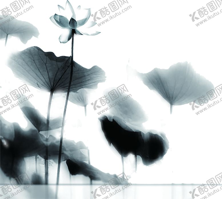 编号：75772904211205131122【酷图网】源文件下载-水墨荷花粉色荷花荷花意境