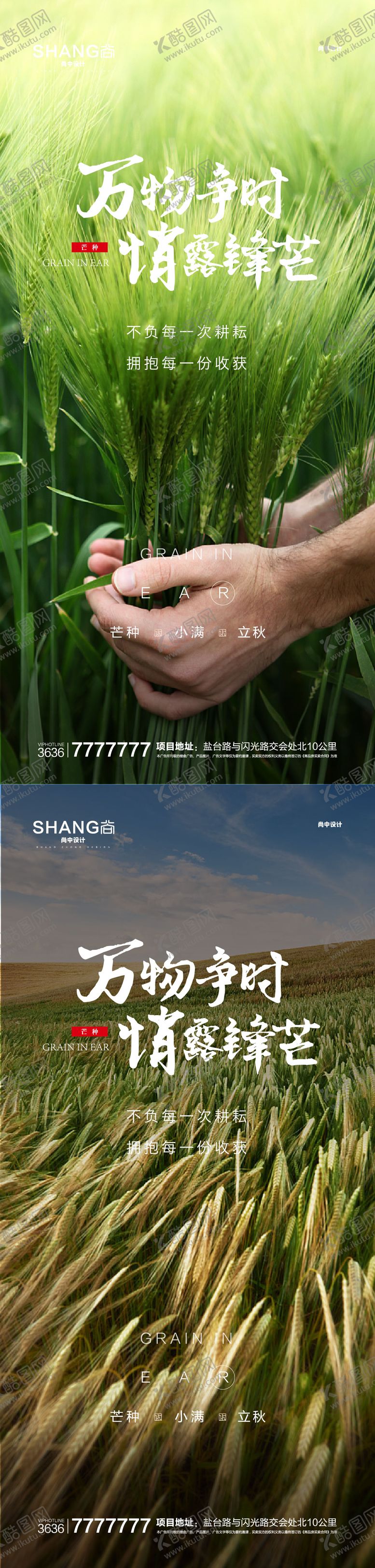 编号：97016211300326229234【酷图网】源文件下载-地产高端大气芒种二十四节气微信海报