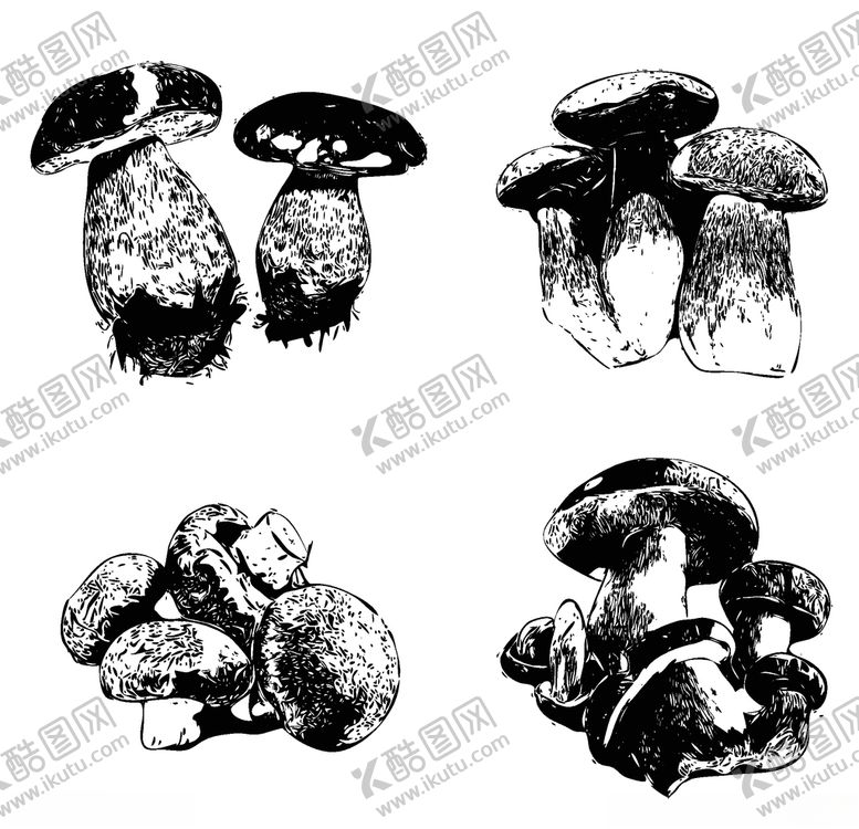 编号：36671210071900455957【酷图网】源文件下载-素描菌菇