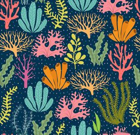 植物插画
