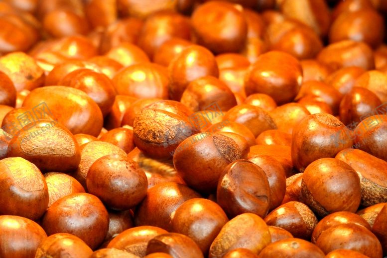 编号：12512310301355288019【酷图网】源文件下载-栗子