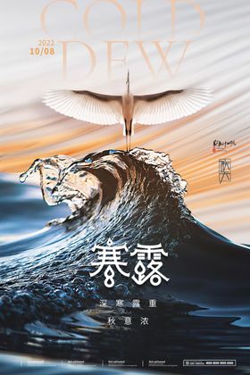 创意寒露节气海报