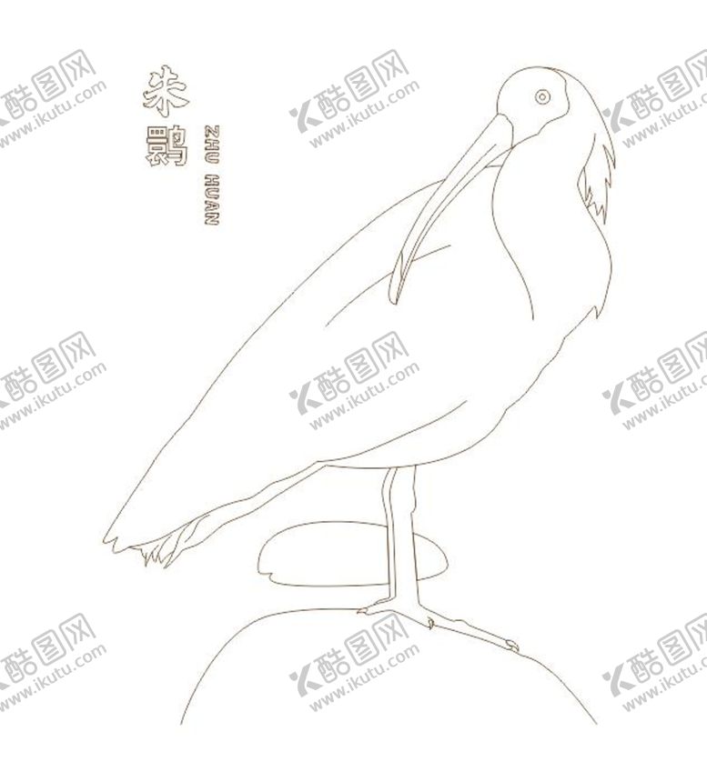 编号：94390201181530032289【酷图网】源文件下载-朱鹮线稿