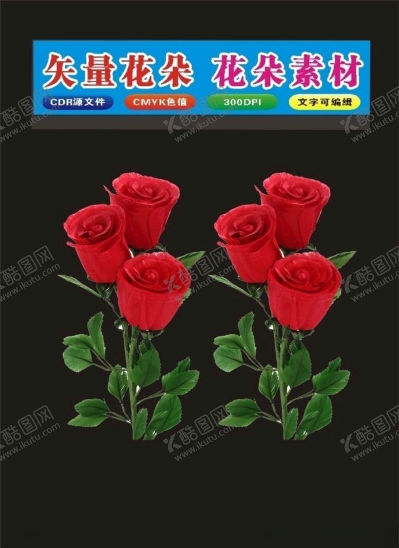 编号：39885110291904584207【酷图网】源文件下载-花朵红色玫瑰