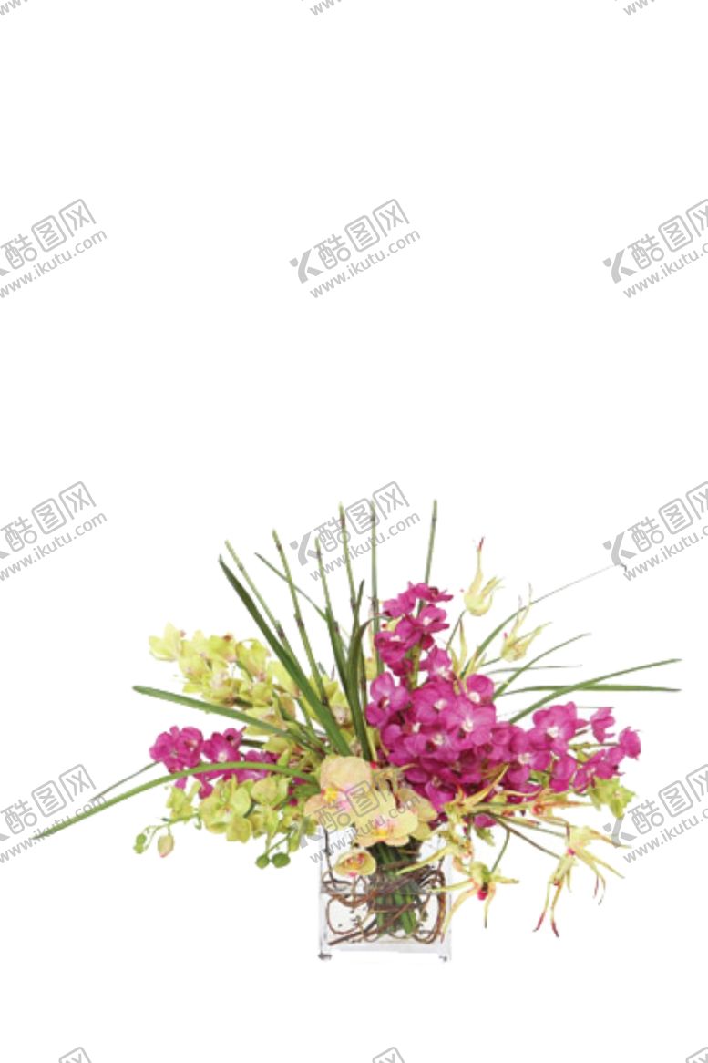 编号：69738409160025389657【酷图网】源文件下载-免抠背景花草树木