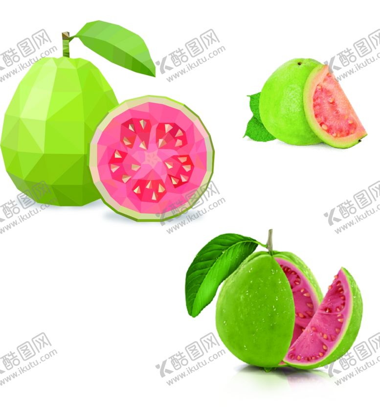 编号：35256402131224592603【酷图网】源文件下载-番石榴