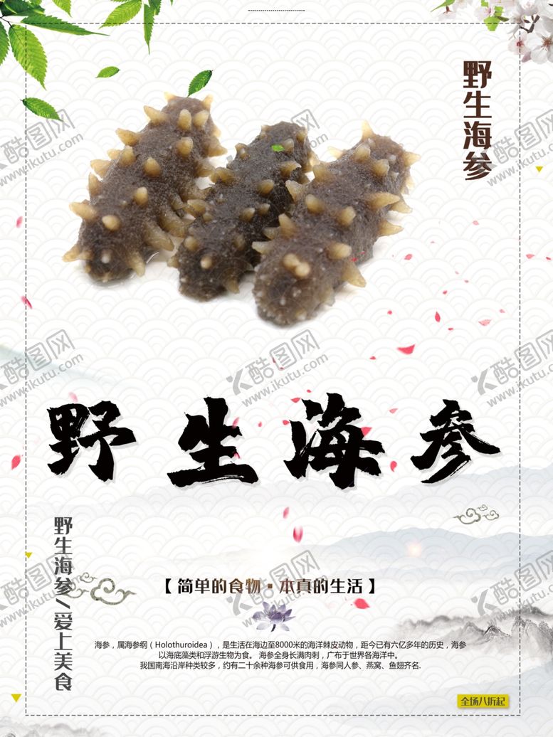 编号：78152301271156507992【酷图网】源文件下载-野生海参