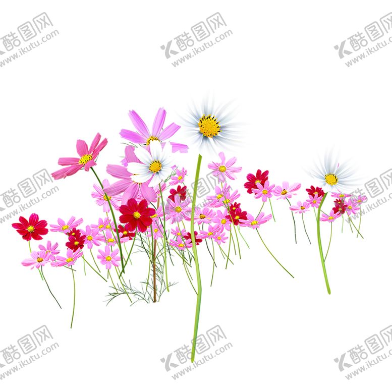 编号：99789510060321397381【酷图网】源文件下载-绿色相框