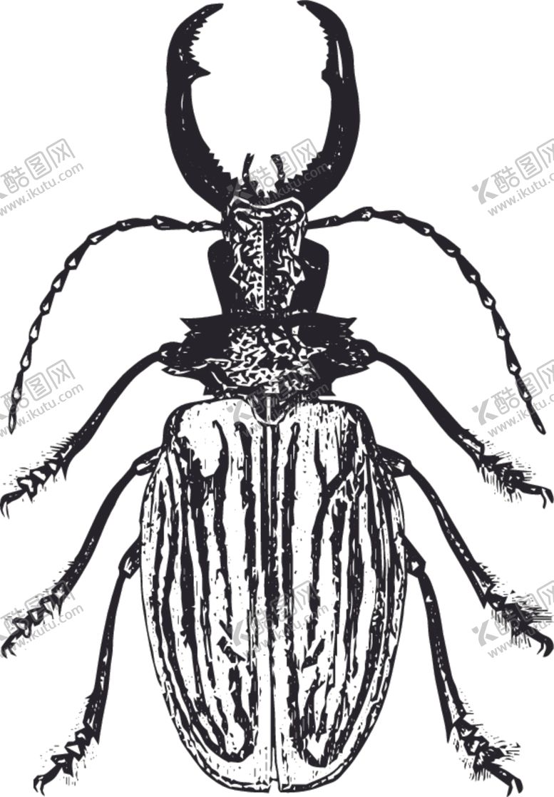 编号：93116910151032396940【酷图网】源文件下载-自然昆虫标本插画
