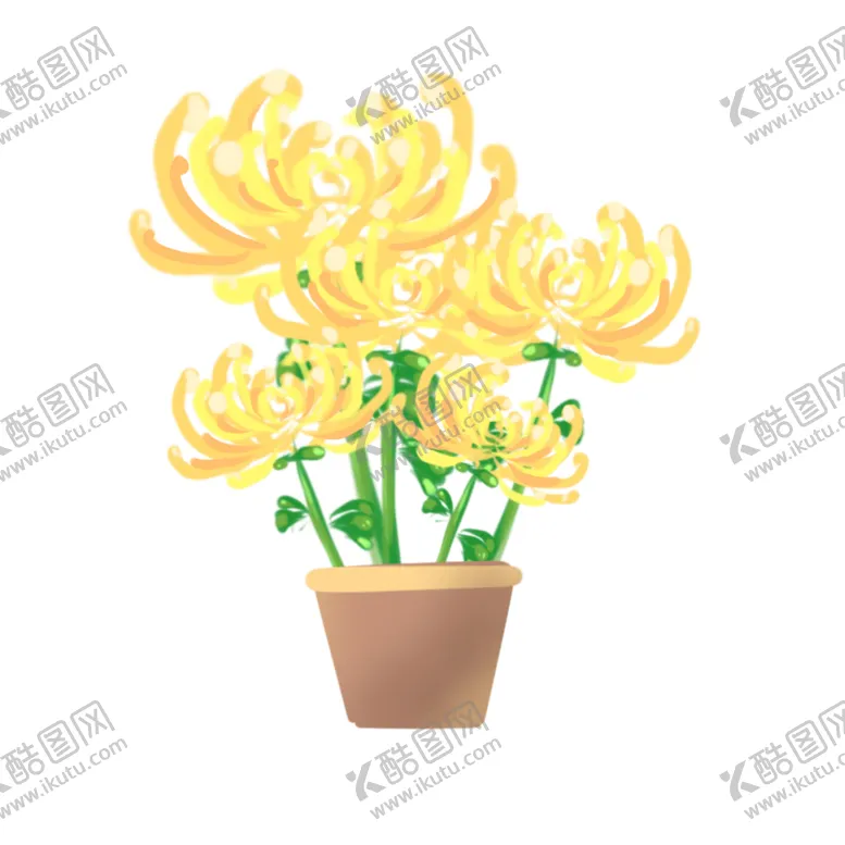 编号：59910107020958357577【酷图网】源文件下载-菊花素材
