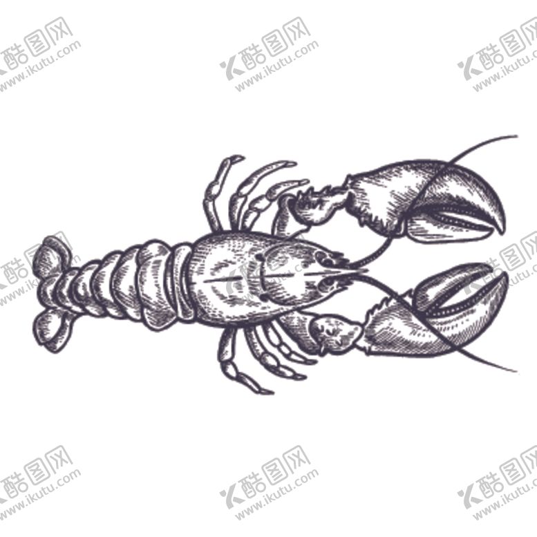 编号：50020105171628161666【酷图网】源文件下载-餐饮食物插画元素