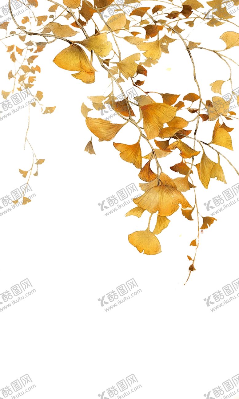 编号：69616805120805325794【酷图网】源文件下载-银杏叶