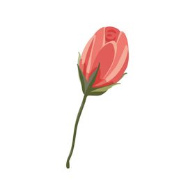 森系花枝