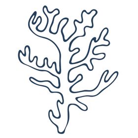 手绘海洋生物