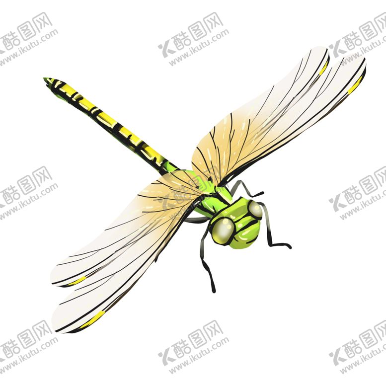 编号：81359704272300071895【酷图网】源文件下载-蜻蜓