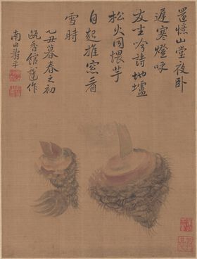 清代恽寿平花草绘画