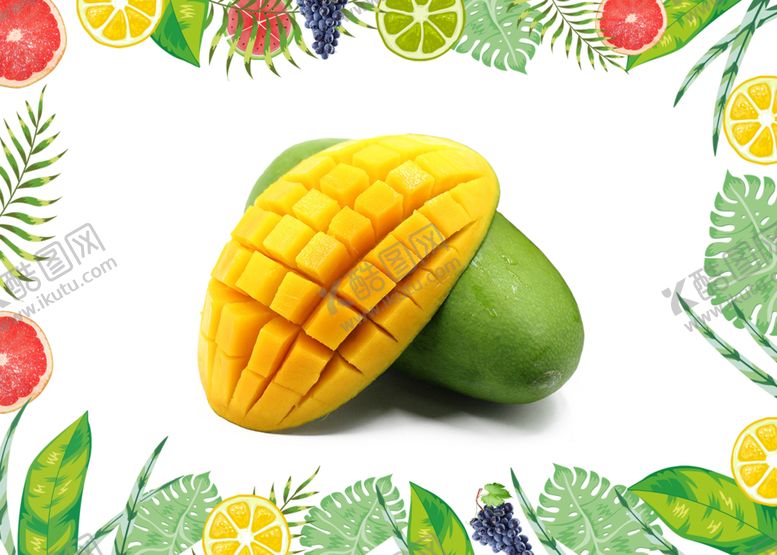 编号：86502310121123537057【酷图网】源文件下载-芒果
