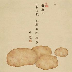 民宿画