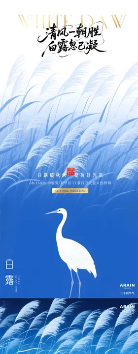 白露芦苇湖泊白鹭插画