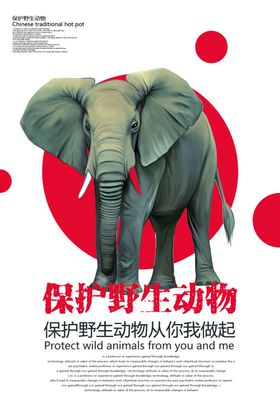 保护野生动物海报