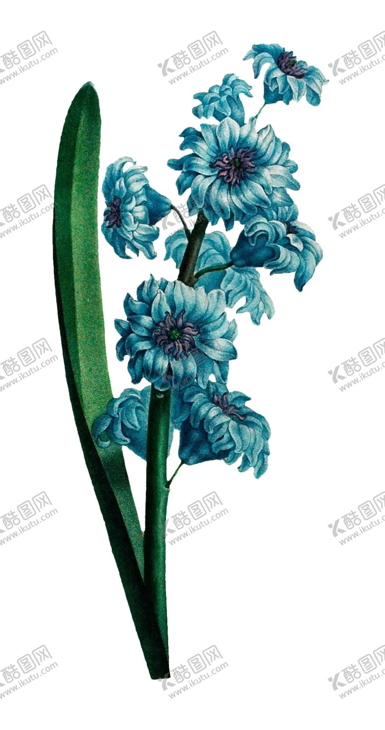 编号：31410106260118509762【酷图网】源文件下载-复古鲜花主题装饰图案