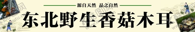 编号：86234710041037378379【酷图网】源文件下载-香菇