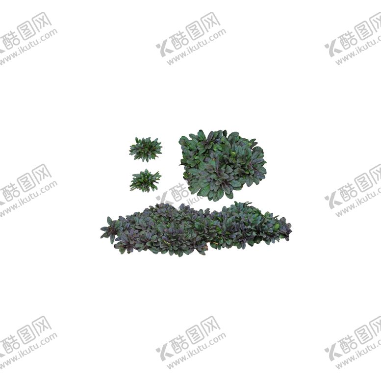 编号：64878510241350438183【酷图网】源文件下载-植物