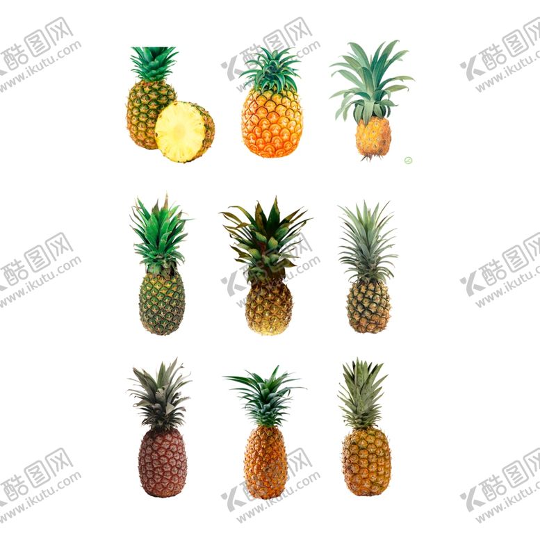 编号：43218210061515379685【酷图网】源文件下载-菠萝