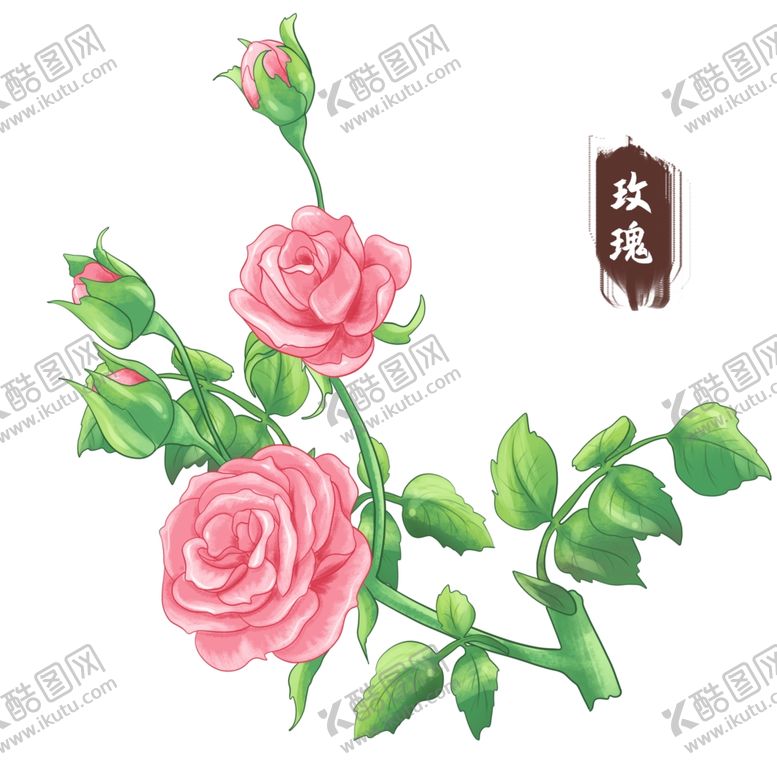 编号：53758001271406292409【酷图网】源文件下载-中药手绘插画