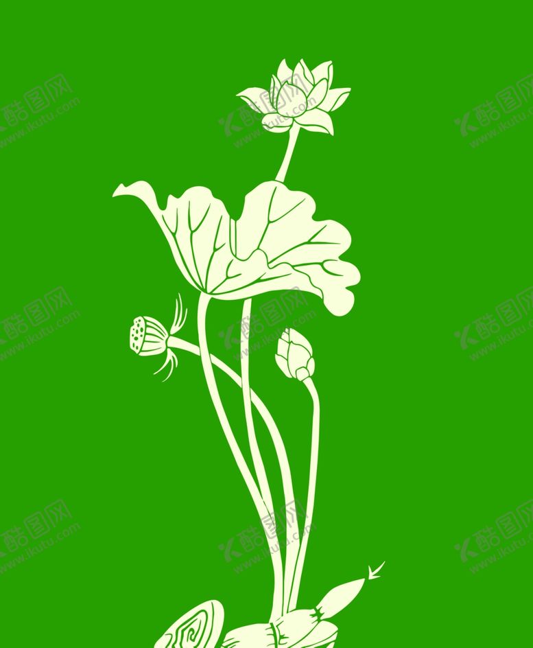 编号：51417510122121367509【酷图网】源文件下载-荷花