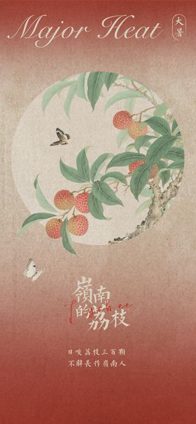 大暑节气生鲜荔枝插画