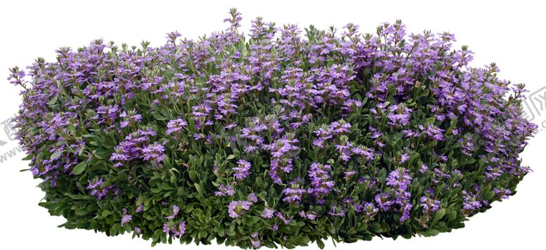 编号：38122110050123043939【酷图网】源文件下载-免扣花海素材