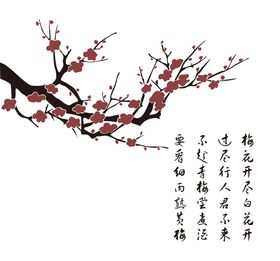 梅花开尽白花开