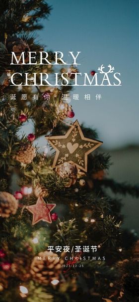 圣诞节海报
