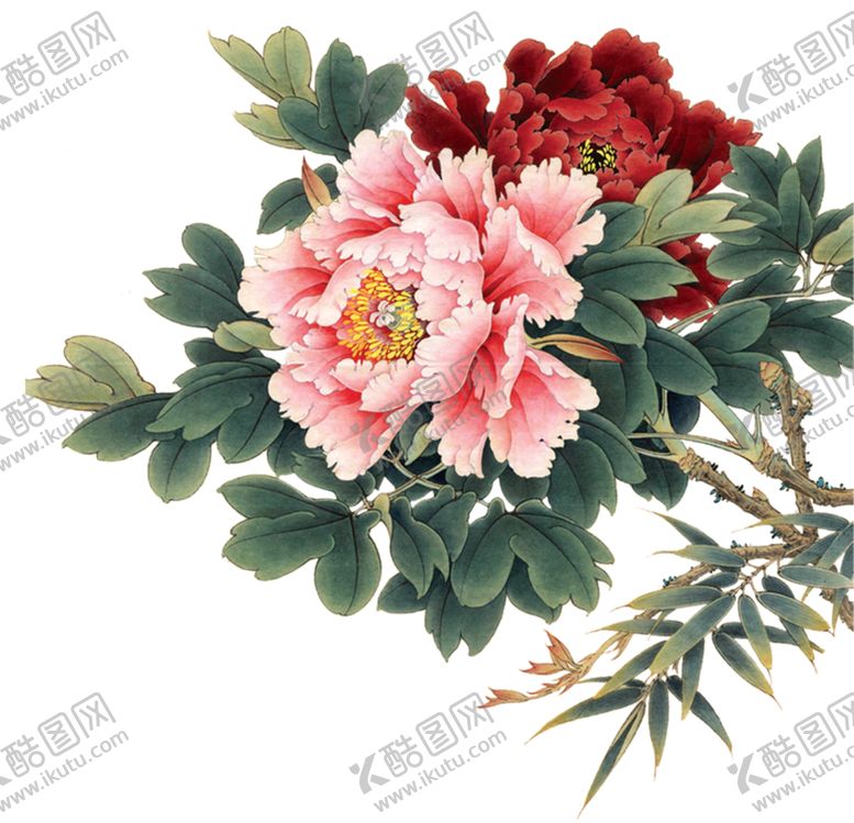 编号：82842910300515539677【酷图网】源文件下载-牡丹花