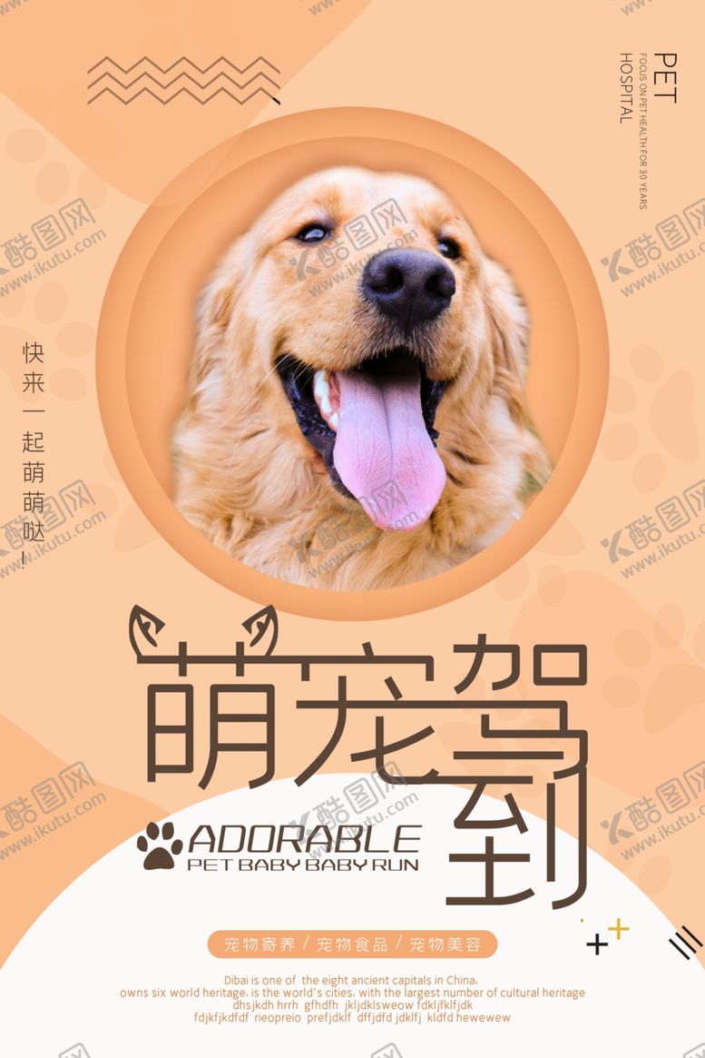 编号：79683305172351506911【酷图网】源文件下载-萌宠驾到